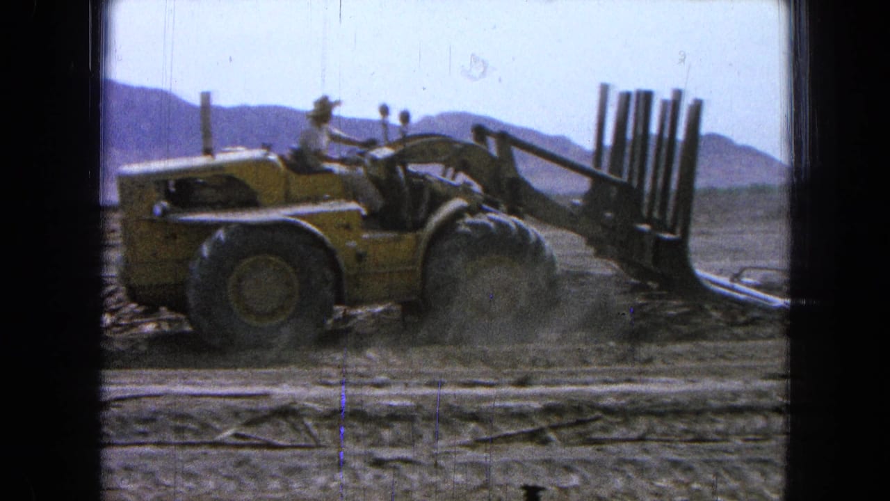 Yellow loader lifts or pushes poles as dust rises from the dry ground.