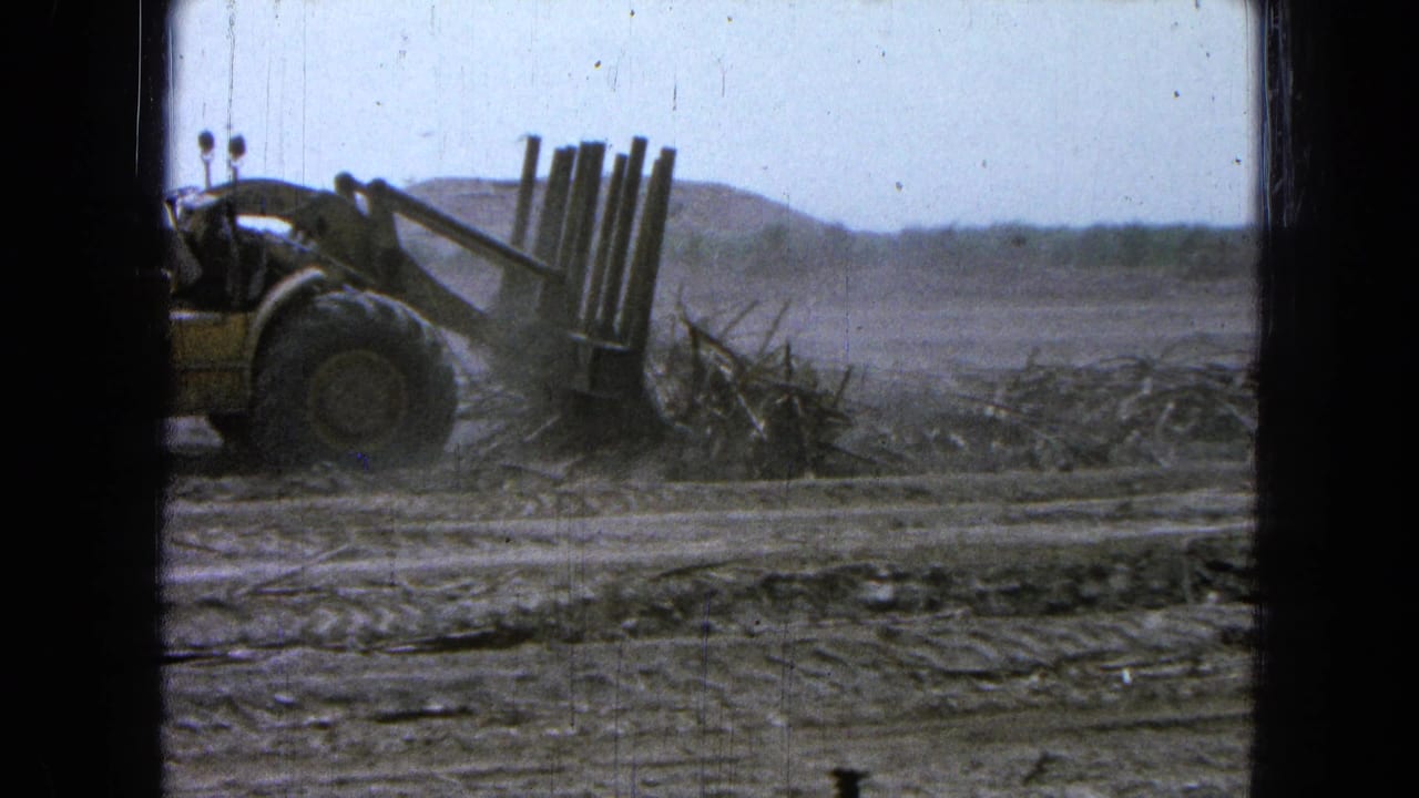The loader advances across a dusty Pueblo, Mexico field, pushing tangled debris with a fork-like attachment under a pale sky.