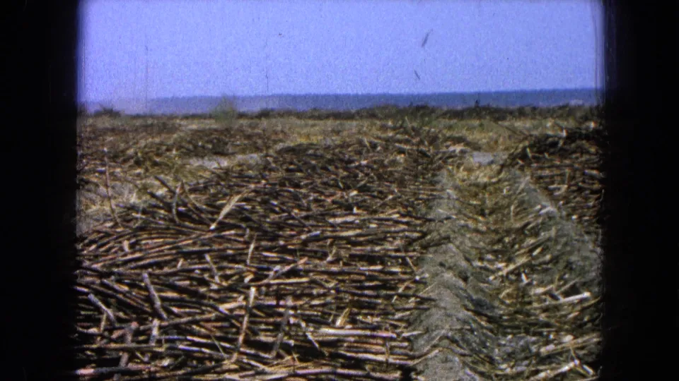 1965 Pueblo, Mexico 8mm frame showing harvested rows, dry soil, open sky, and a rural horizon.