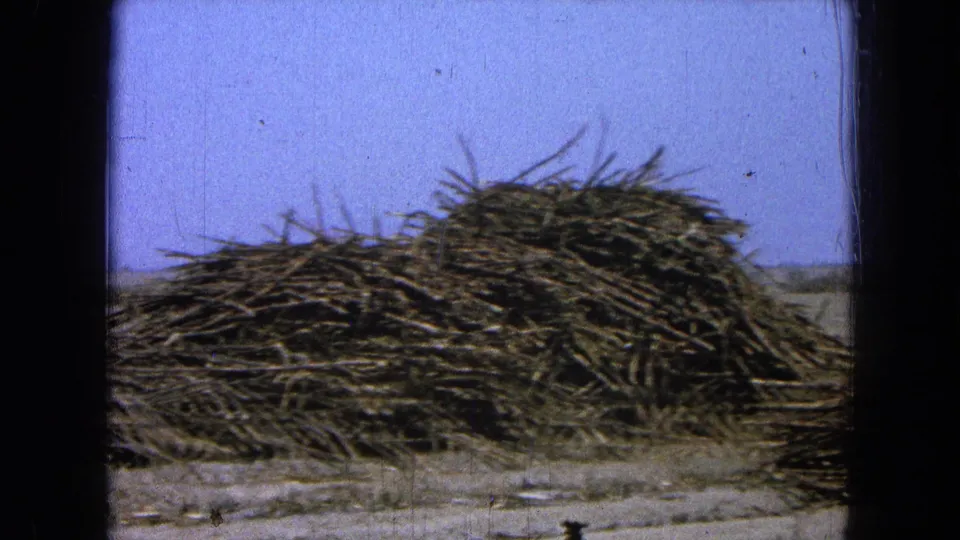 1965 8mm home-movie frame from Pueblo, Mexico showing stacked sugarcane or similar harvested stalks in an open rural field.
