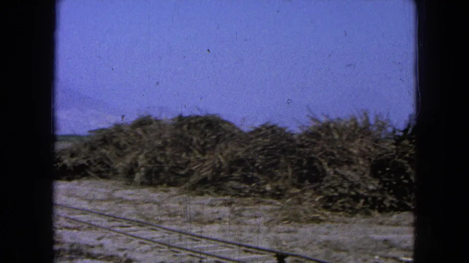 Rural 1965 Pueblo, Mexico harvest scene with cane-like stalk piles, faint ground tracks, distant hills, and 8mm film texture.