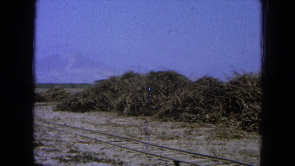 1965 Pueblo, Mexico 8mm frame showing rail tracks running past stacked wood or brush piles in a dusty open yard.