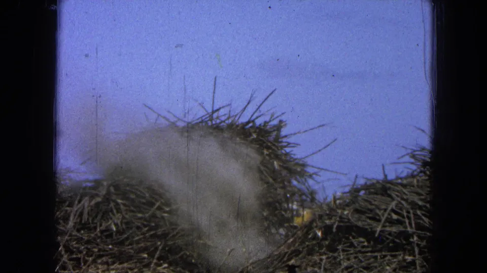 A denser dust cloud rises over wood or brush piles in 1965 Pueblo, Mexico archival 8mm footage.
