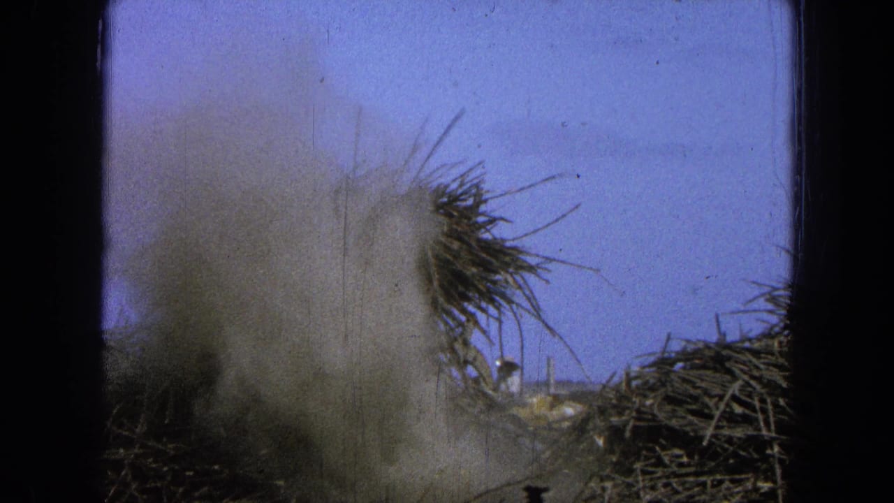 A pale dust plume spreads across dry brush in the 1965 Pueblo Mexico home-movie frame, with visible 8mm frame borders.