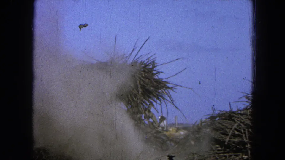 The 8mm frame shows a larger dust cloud partly covering dry grass and brush, with blue sky and visible film wear.