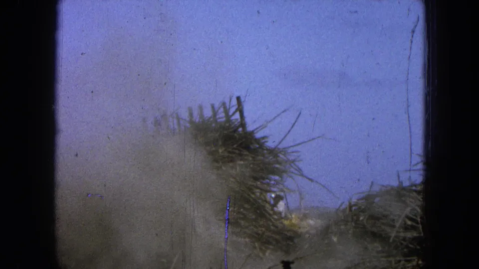 Dust lingers over a low pile of dry brush in this 1965 Pueblo Mexico 8mm frame, with grain, scratches, and dark gate edges visible.