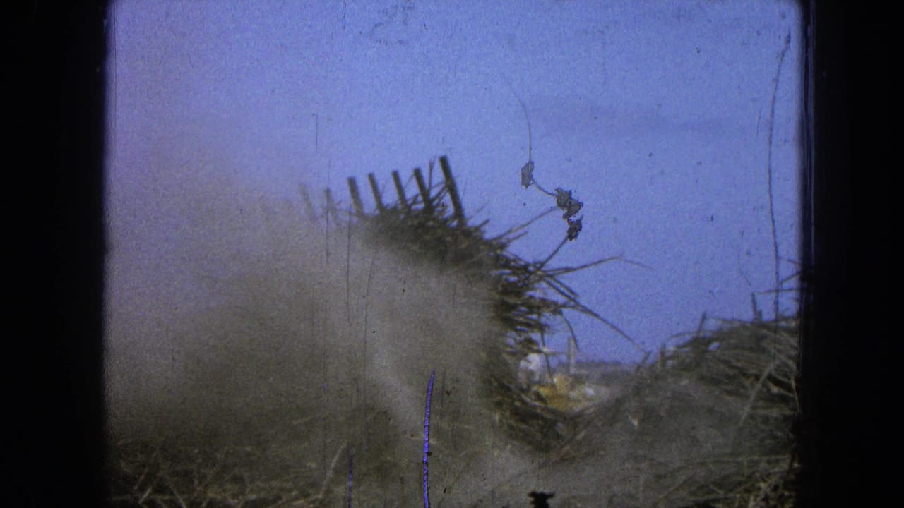 Brush pile throws dust into the air against a pale blue sky.