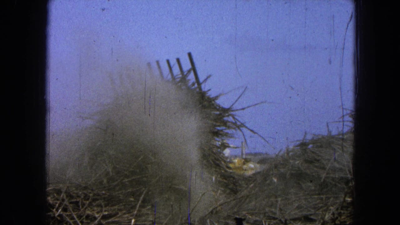 1965 Pueblo, Mexico home-movie frame with brush, debris, and dust obscuring part of a rural work site.