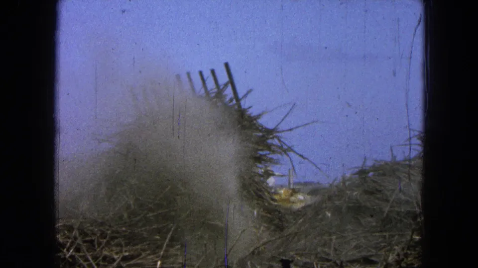1965 Pueblo, Mexico home-movie frame with brush, debris, and dust obscuring part of a rural work site.