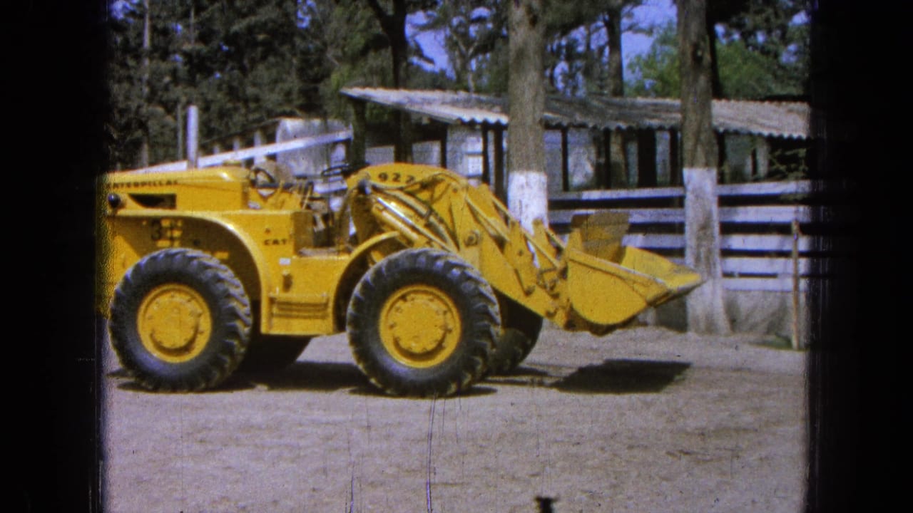 Yellow Caterpillar front-end loader parked beside a wooden fence and trees.