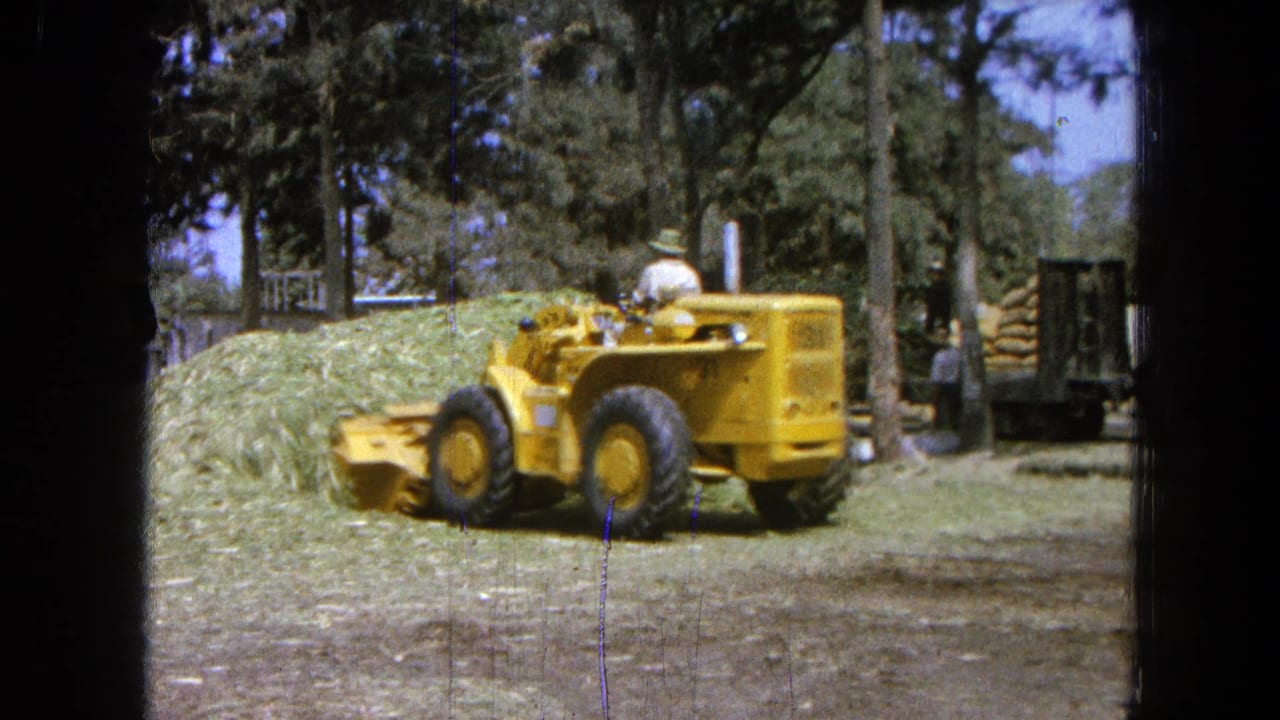 Yellow loader moves near a large pile of green hay under trees.