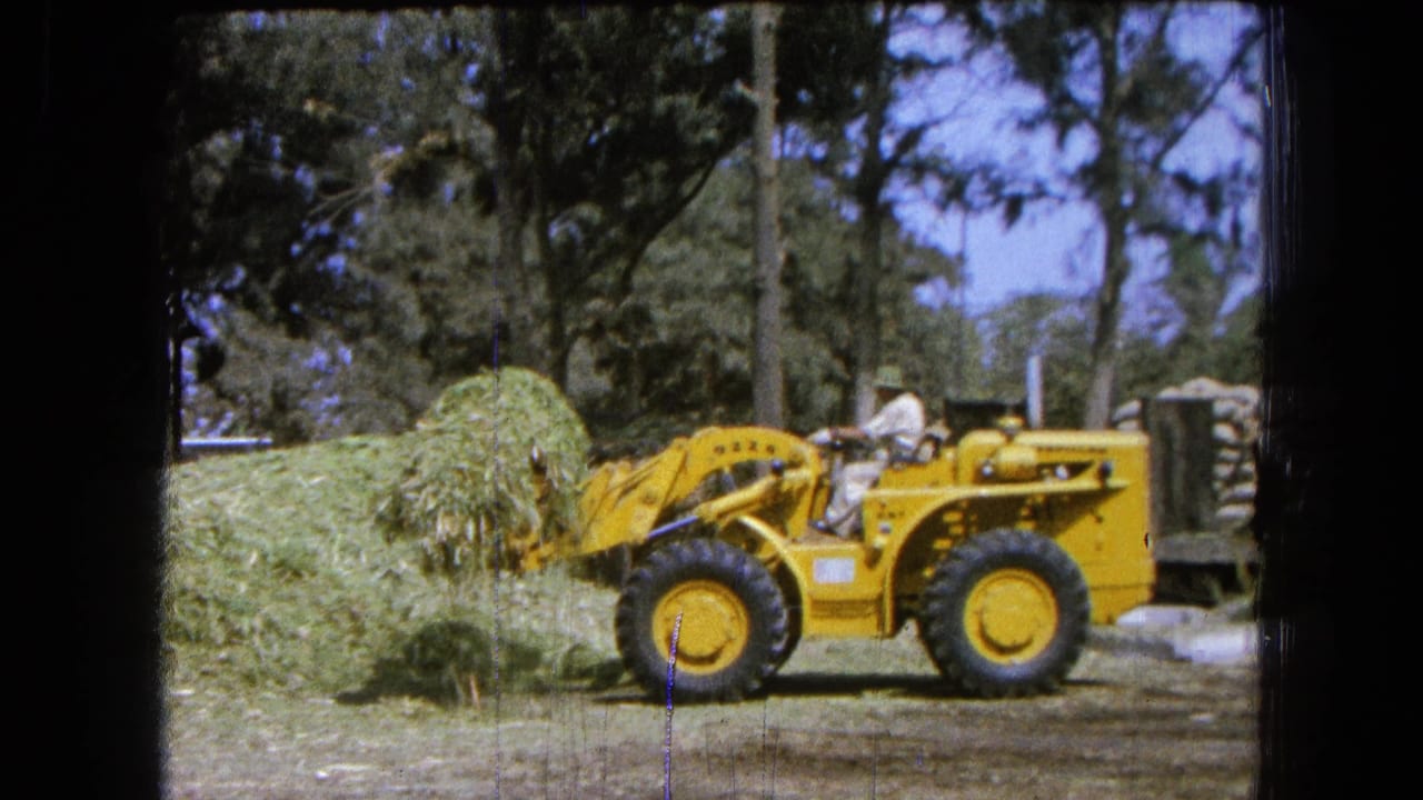 Yellow front-end loader carrying green grass in a rural yard with trees behind it.