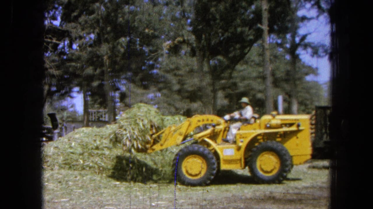 Yellow loader beside a mound of green grass with a driver seated at the controls.