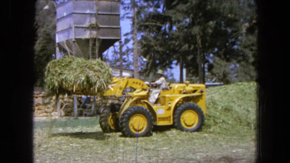 The loader holds a large clump of green grass near a larger pile, with the driver and wooded rural background visible.