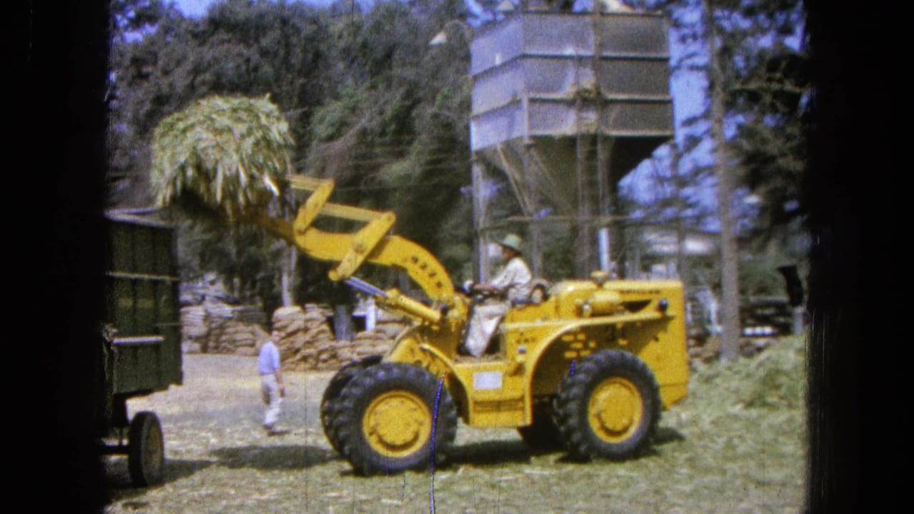 Yellow loader raises hay while a man walks beside the farm machinery.