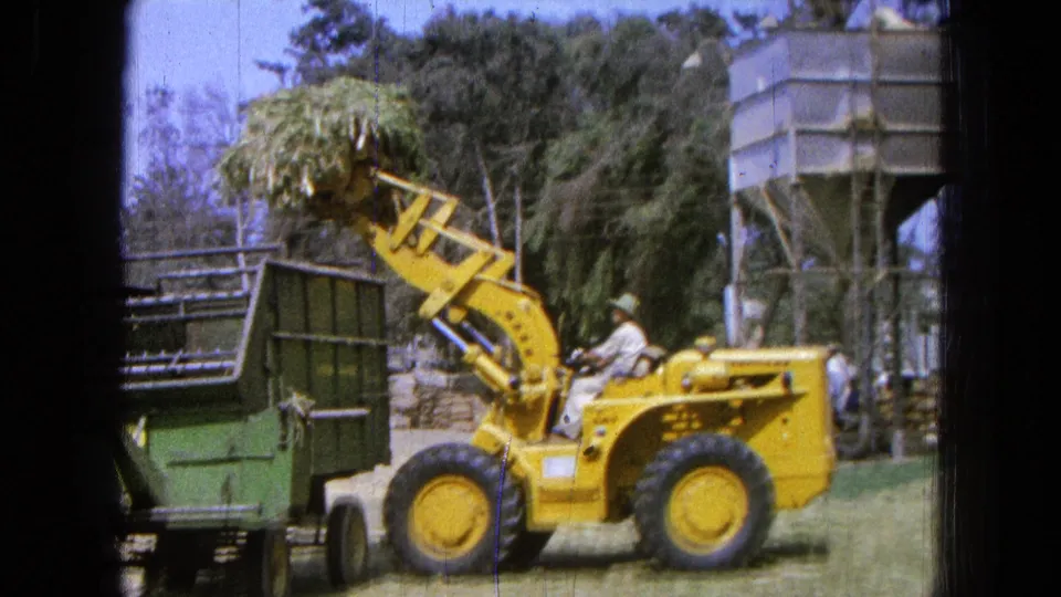 The yellow loader moves toward a green trailer with hay raised high in the farmyard, with the operator seated at the controls.