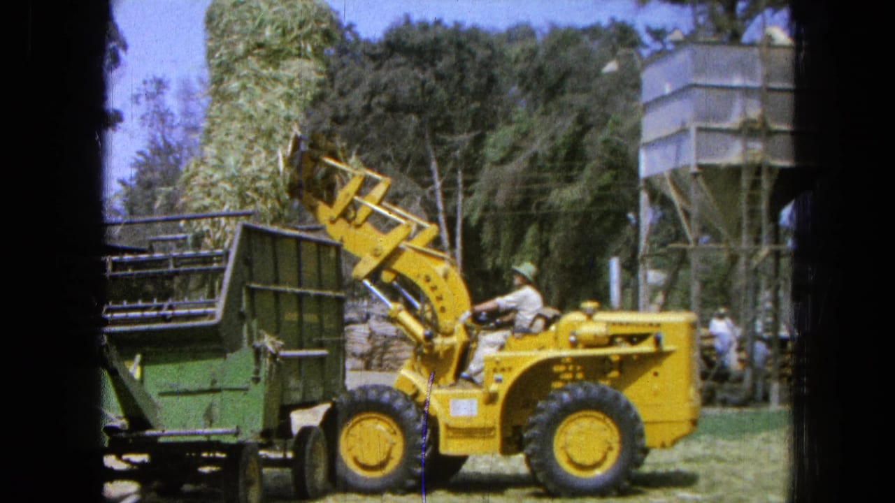 Yellow front-end loader beside a green trailer with dry grass raised in the bucket.