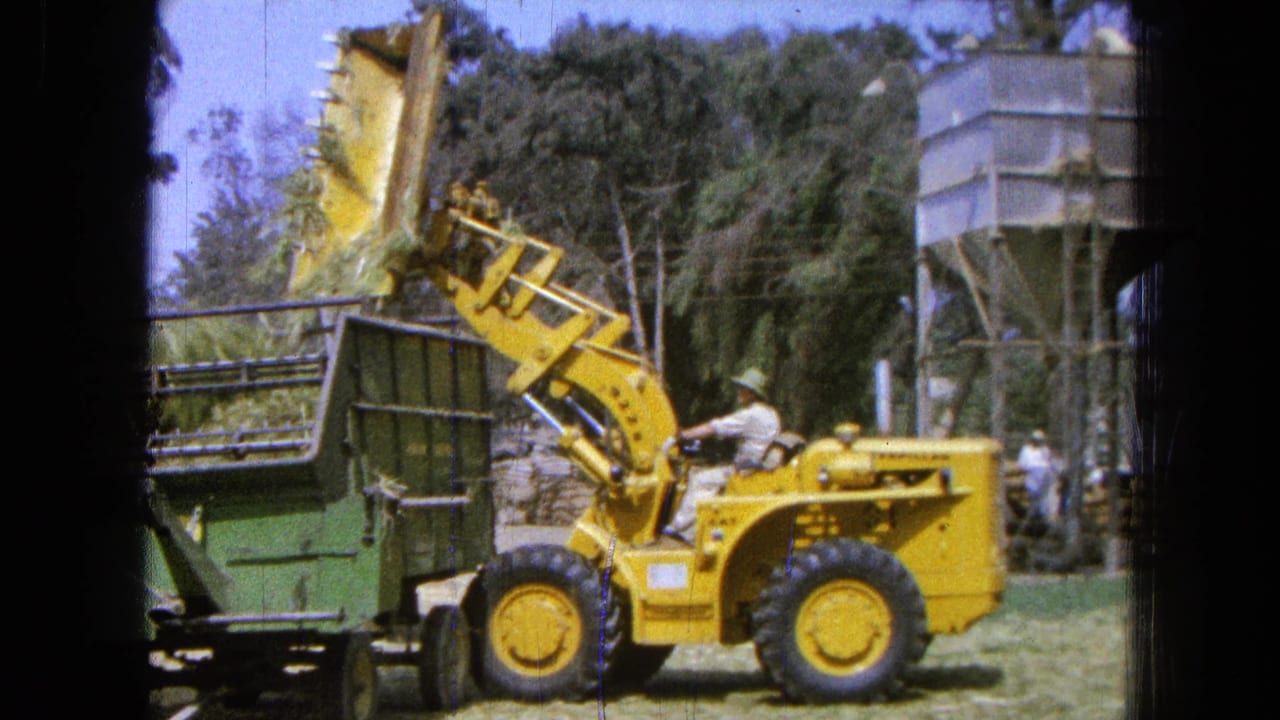 The 1965 Pueblo, Mexico farm scene shows the loader tipping a bucket of dry grass near the green trailer, with a silo behind it.