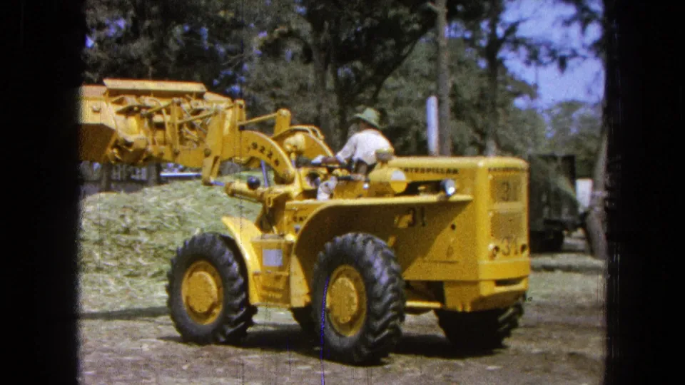 A rear-side view shows the yellow loader close to the camera, its bucket extended over green cut grass in the wooded work area.