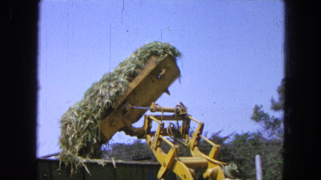 Yellow loader raises a bucket filled with green hay beside a dark container under blue sky.