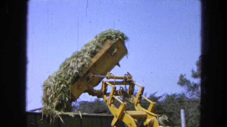 1965 Pueblo, Mexico 8mm frame showing a yellow front-end loader lifting green hay or straw toward a container edge.