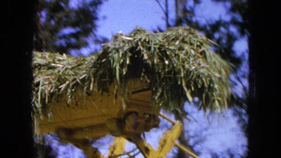 Close 8mm view of a yellow loader bucket loaded with green hay or straw, framed against trees and blue sky in Pueblo, Mexico.