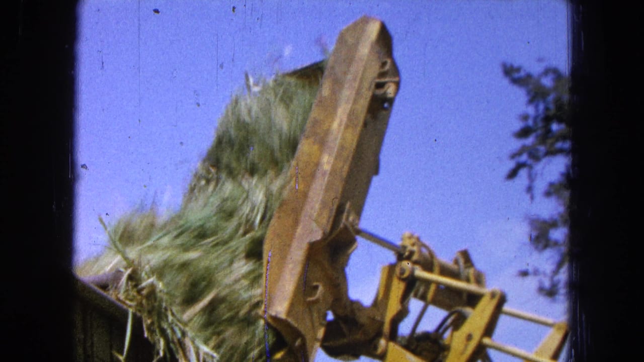 Yellow loader bucket lifting hay or straw under a bright blue sky.