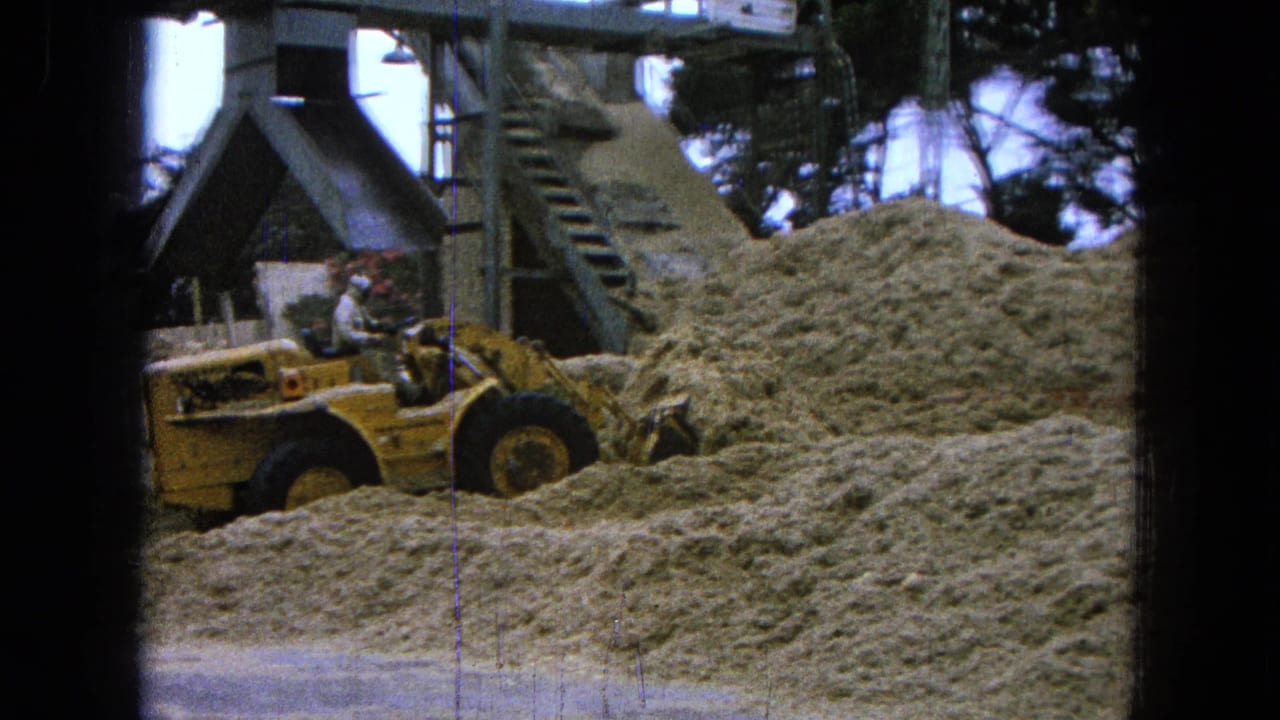 Yellow front-end loader beside pale material piles at an industrial site.