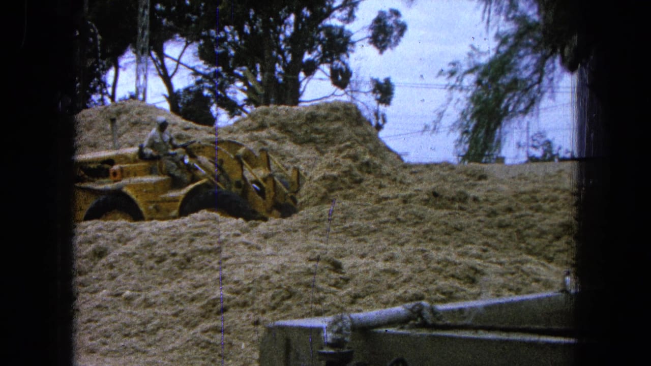 Yellow front-end loader beside sand piles with an operator visible and trees behind.