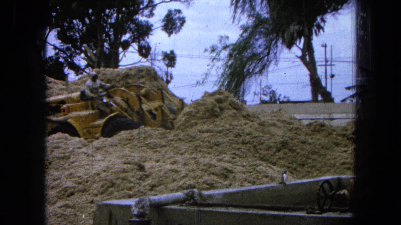 The yellow loader advances into piled sand at the 1965 Pueblo, Mexico work site, with palms, wires, and a low foreground pipe visible.