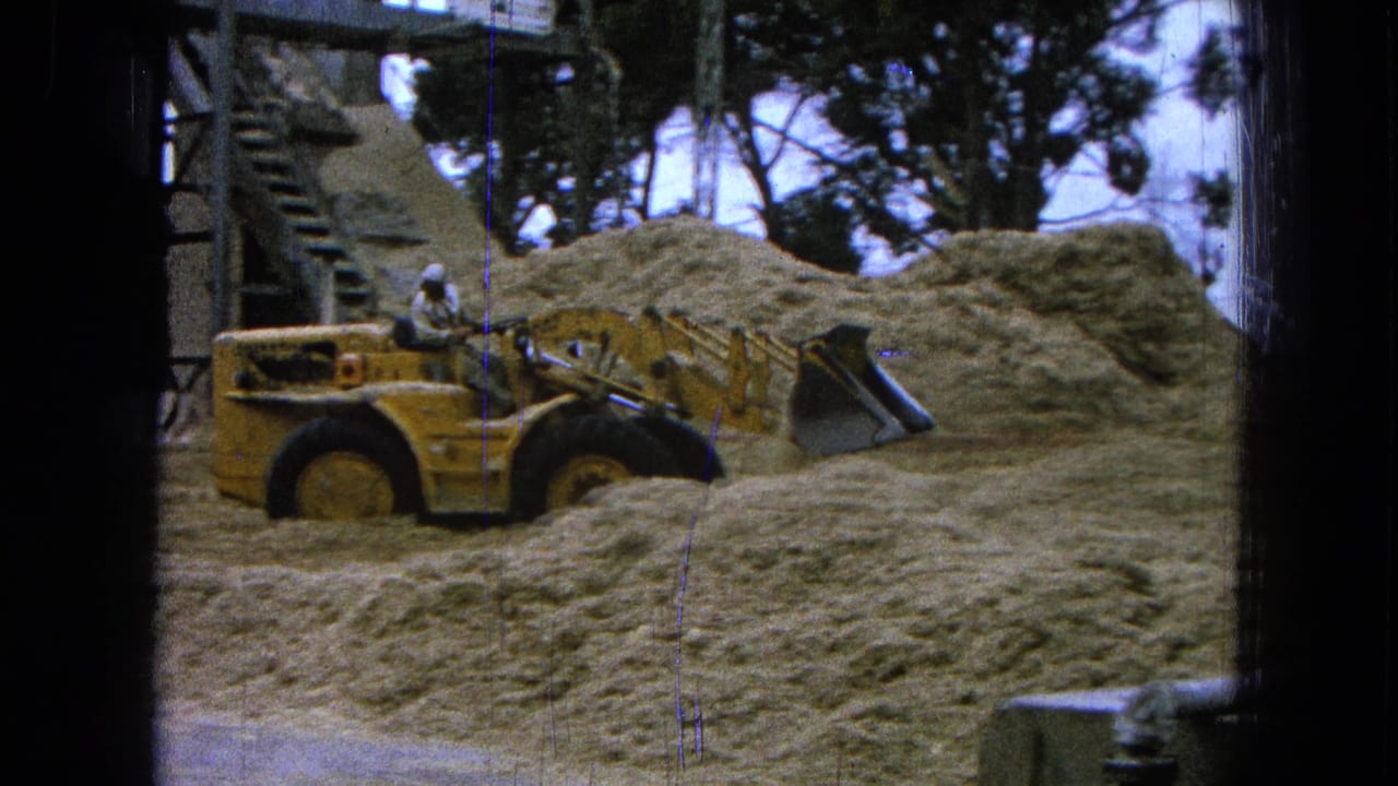 A man in a white hard hat operates a yellow front-end loader near sand piles in Pueblo, Mexico, 1965.