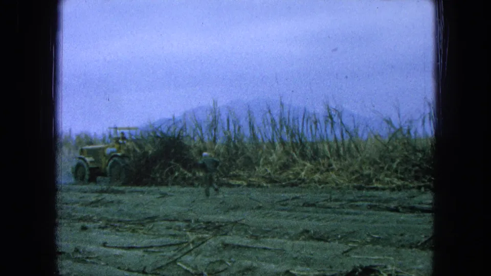 1965 Pueblo, Mexico 8mm frame with a worker moving across an open field while a yellow tractor sits near tall sugarcane.