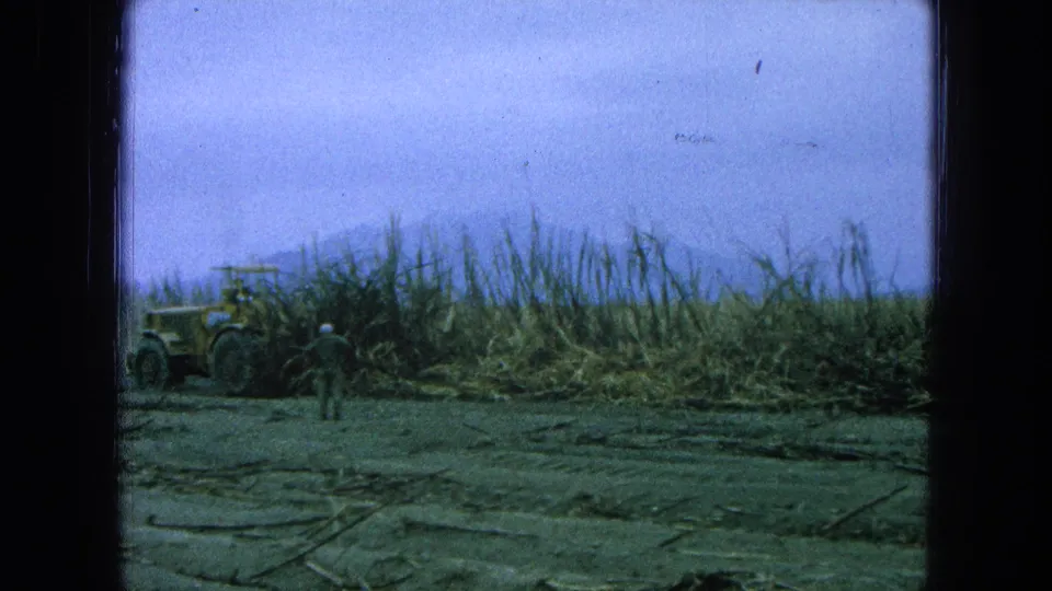 1965 Pueblo, Mexico 8mm frame showing a worker in the foreground, a yellow tractor at left, and dense sugarcane across the field.