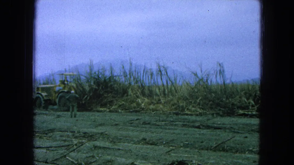 1965 Pueblo, Mexico 8mm frame with a worker seen from behind, a partly visible yellow tractor, tall sugarcane, and distant hills.