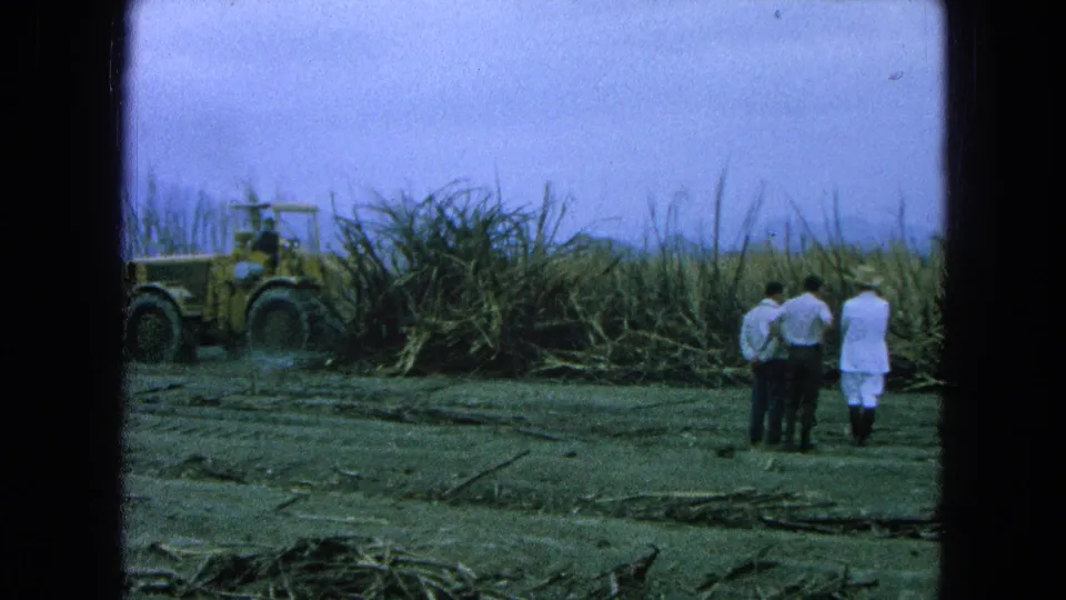 1965 Pueblo, Mexico frame showing three men, one in white clothing, observing a tractor at a sugar cane field.