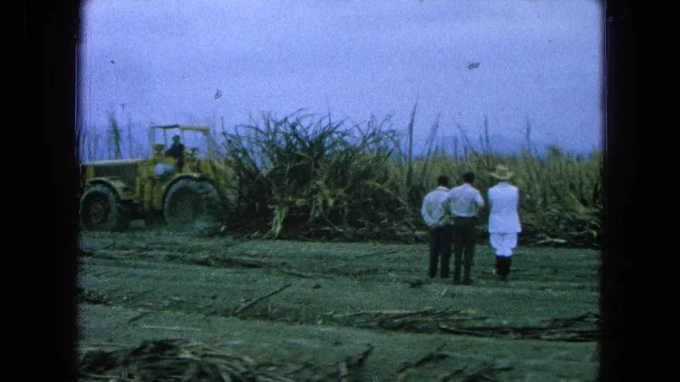1965 Pueblo, Mexico 8mm frame with a tractor at left, tall cane behind it, and three observers in the foreground.