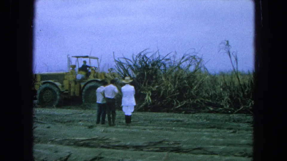 1965 Pueblo, Mexico 8mm still with three figures facing a loader beside dense green sugarcane.