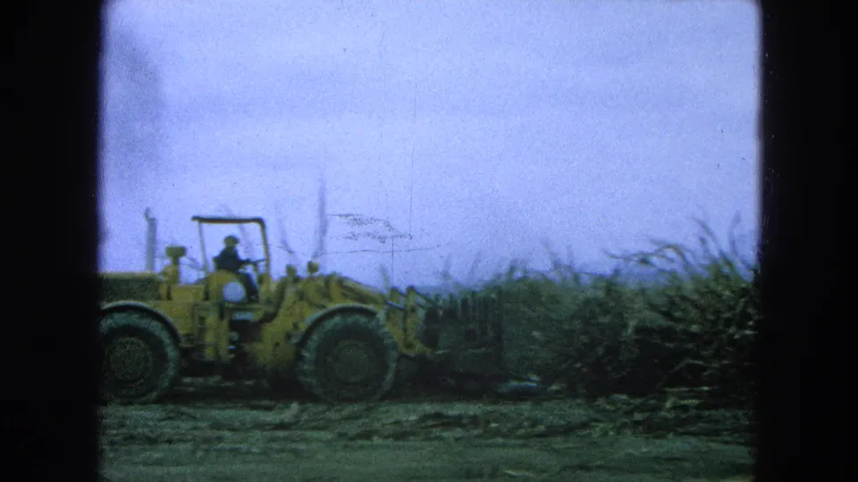 In the 1965 Pueblo, Mexico field scene, a yellow loader sits beside cut cane with the operator visible under an open frame.