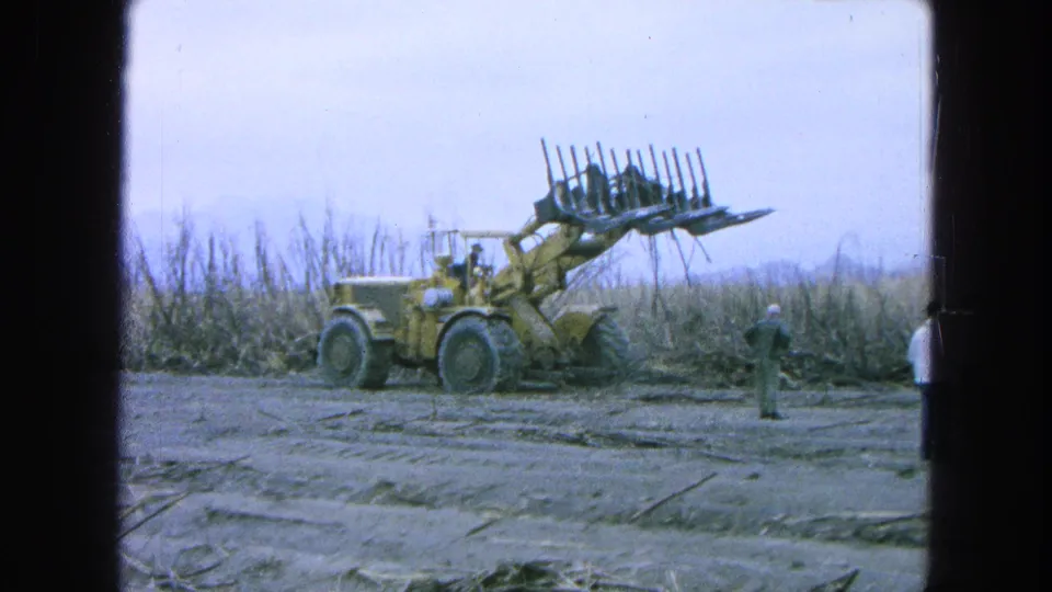 A yellow loader operates at the edge of a sugarcane field in archival 1965 Pueblo, Mexico footage, with people visible nearby.