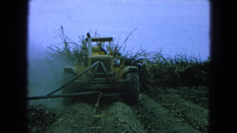 Yellow tractor and operator continue along a sugarcane row in 1965 Pueblo, Mexico home-movie footage.