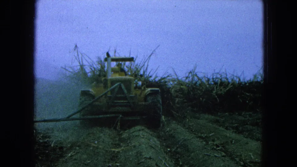 Final 1965 Pueblo, Mexico frame with a yellow tractor moving through sugarcane under a hazy sky.