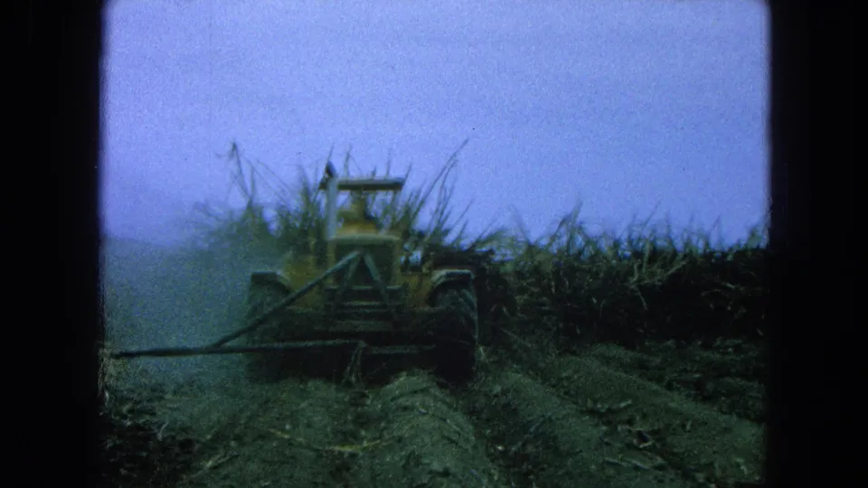 1965 8mm frame from Pueblo, Mexico, showing a yellow tractor and distant operator working through tall crop rows.