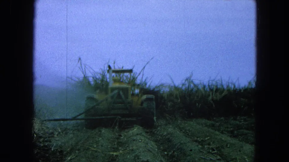 A yellow tractor appears among tall stalks in 1965 Pueblo, Mexico 8mm footage, with the operator faintly visible.