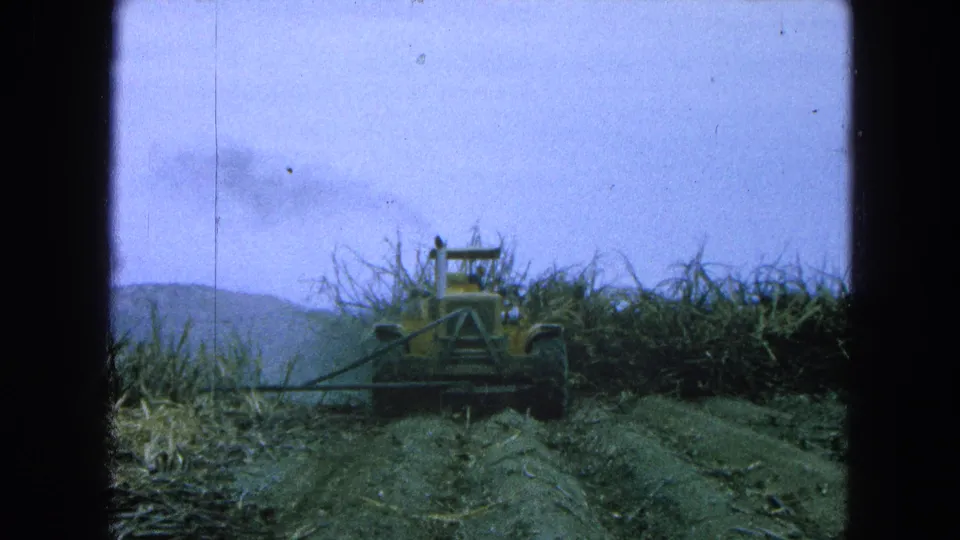 The tractor is centered in a rural Mexican field, with cut rows in front and hazy hills behind in soft 8mm color.