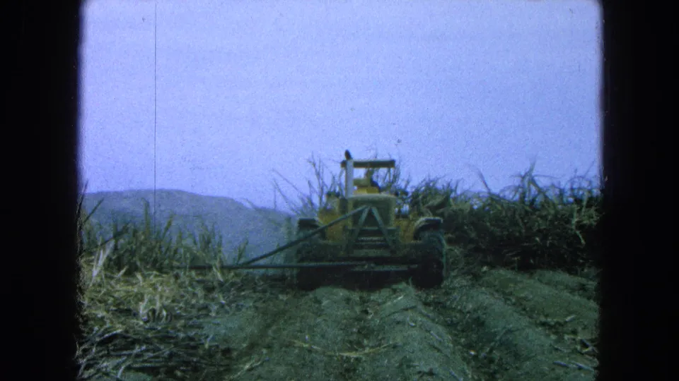 A yellow tractor and small visible operator work near tall field stalks in Pueblo, Mexico, with hills in the background.