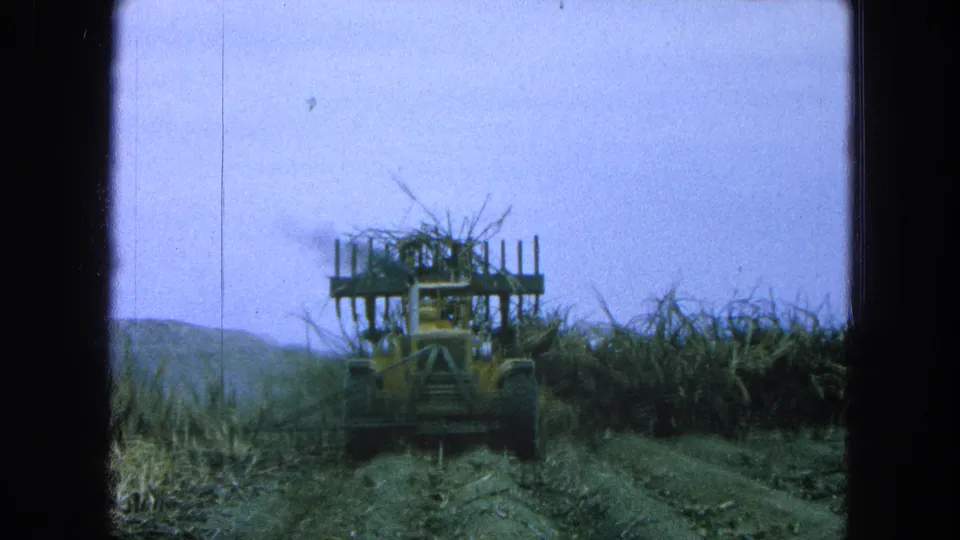 Final 8mm frame from Pueblo, Mexico showing a tractor carrying cane debris through a field beneath a pale sky.
