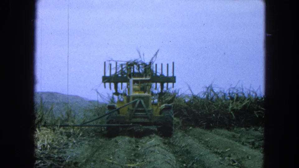 The tractor-mounted harvester continues through the sugarcane field in 1965 Pueblo, Mexico, framed by 8mm borders and distant low hills.