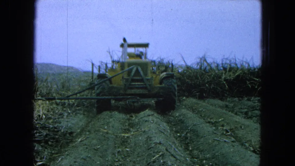 The tractor harvester moves farther down the sugarcane row in the 1965 Pueblo, Mexico clip, with cut ground and distant hills visible.