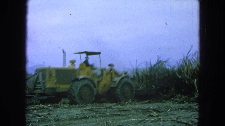 A yellow tractor appears in the 1965 Pueblo, Mexico sugarcane field footage, positioned near standing cane and cut stalks.