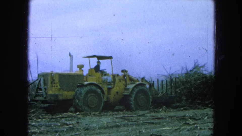 1965 Pueblo, Mexico footage shows a yellow front-end loader and seated operator beside cut sugarcane in a muddy rural field.